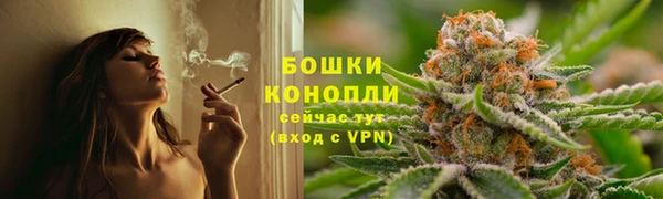 гашик Вязники