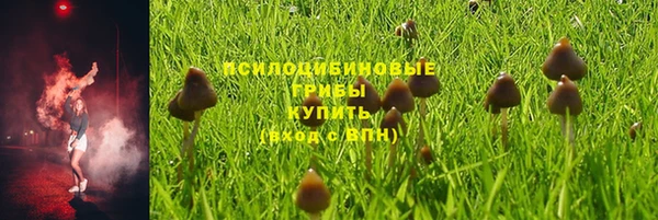 стафф Володарск