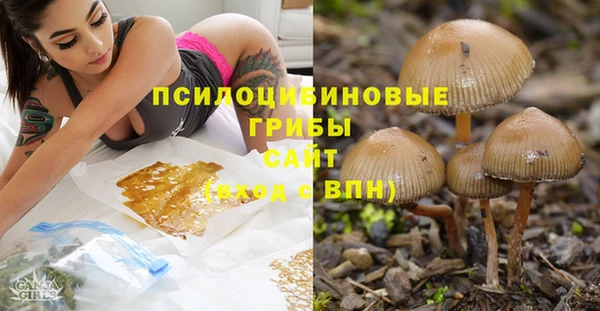 шишки Волосово