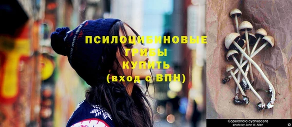 стафф Володарск
