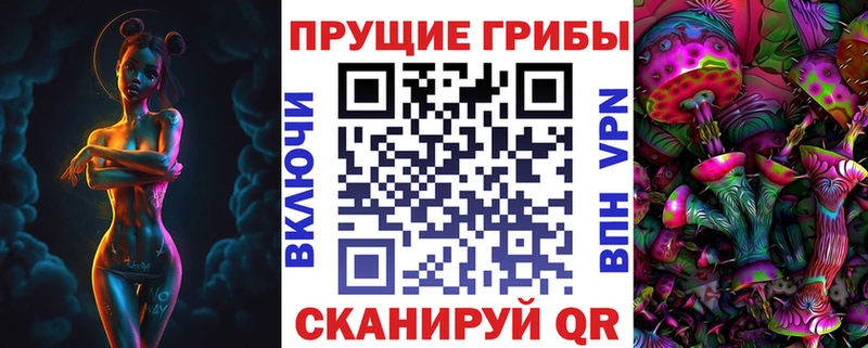 Купить где  Новая Ладога  Псилоцибиновые грибы MAGIC MUSHROOMS 